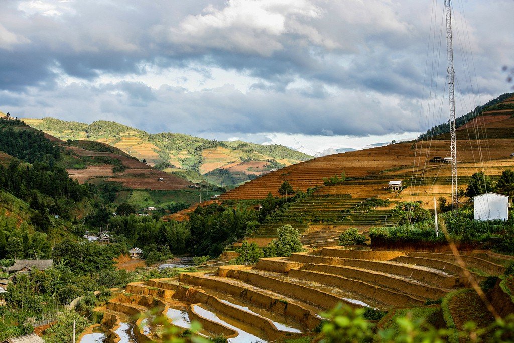 Mù Cang Chai, rizières en terrasse - Vietnam
