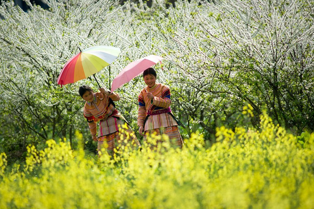 Jeunes filles à Bắc Hà, Sapa - Vietnam