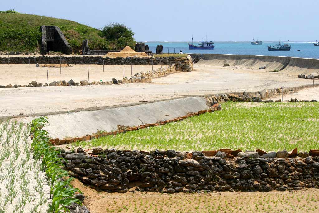 Ile de Lý Sơn, Vietnam