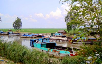 Le tourisme fluvial de Hô Chi Minh-Ville