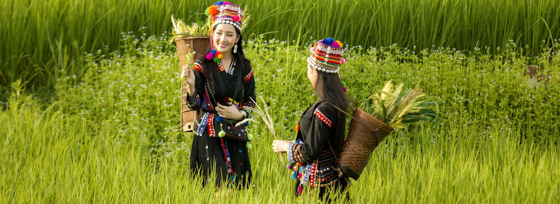 Ethnie du nord, Vietnam